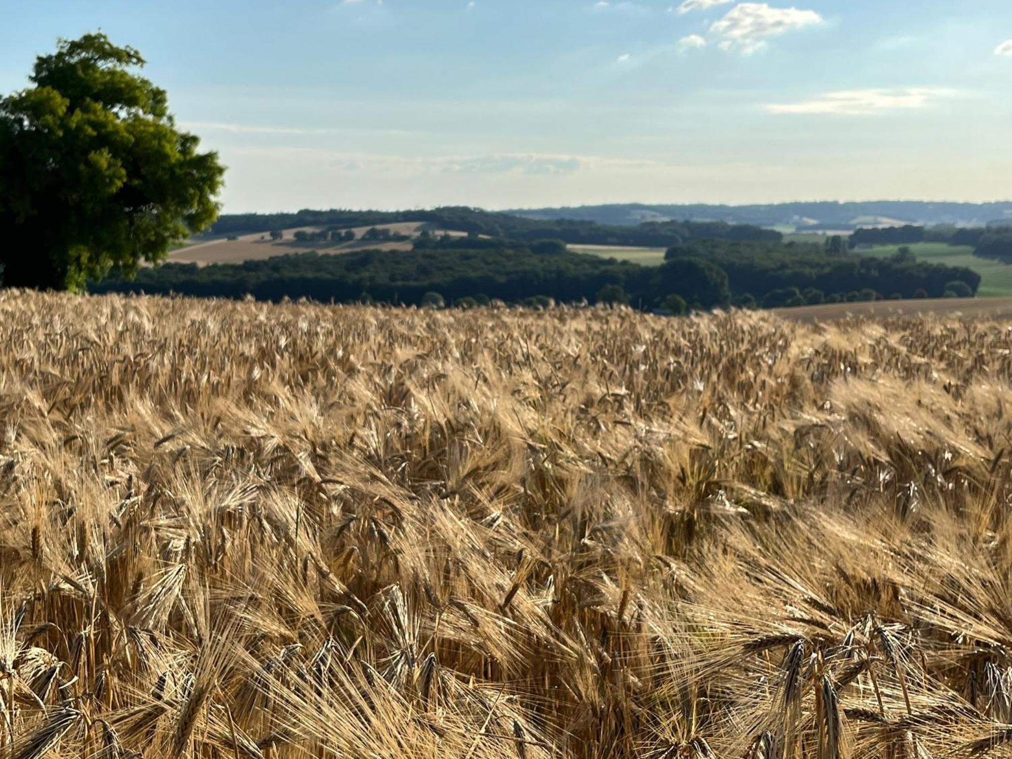 Langlade Estate Βίλα Montboyer Εξωτερικό φωτογραφία
